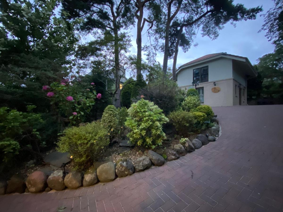 סנט אנדרוס Ailim House Serviced Cottage Escape, Around The Corner From The Old Course מראה חיצוני תמונה
