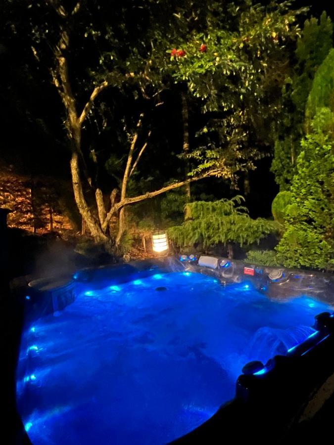 סנט אנדרוס Ailim House Serviced Cottage Escape, Around The Corner From The Old Course מראה חיצוני תמונה